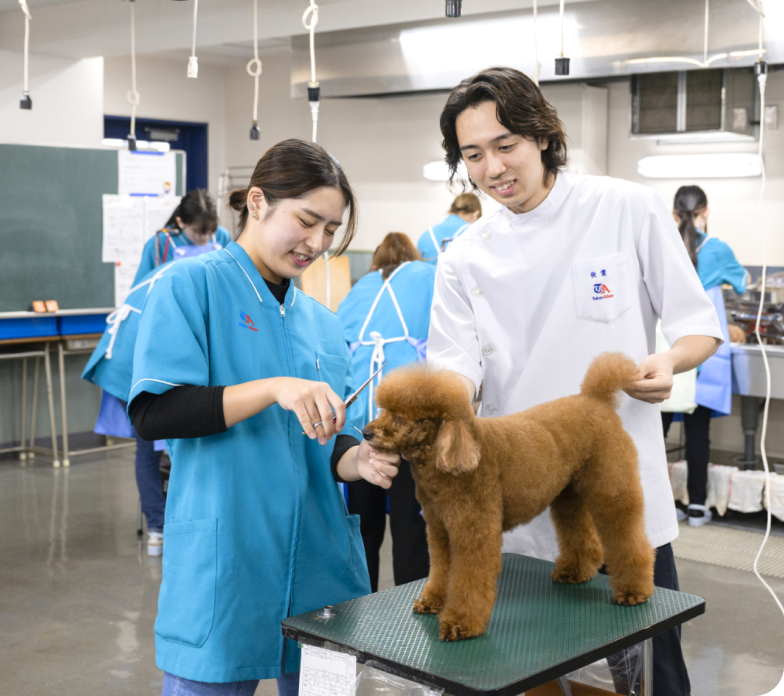 東京愛犬専門学校 - トリマー・愛玩動物看護師を目指すなら