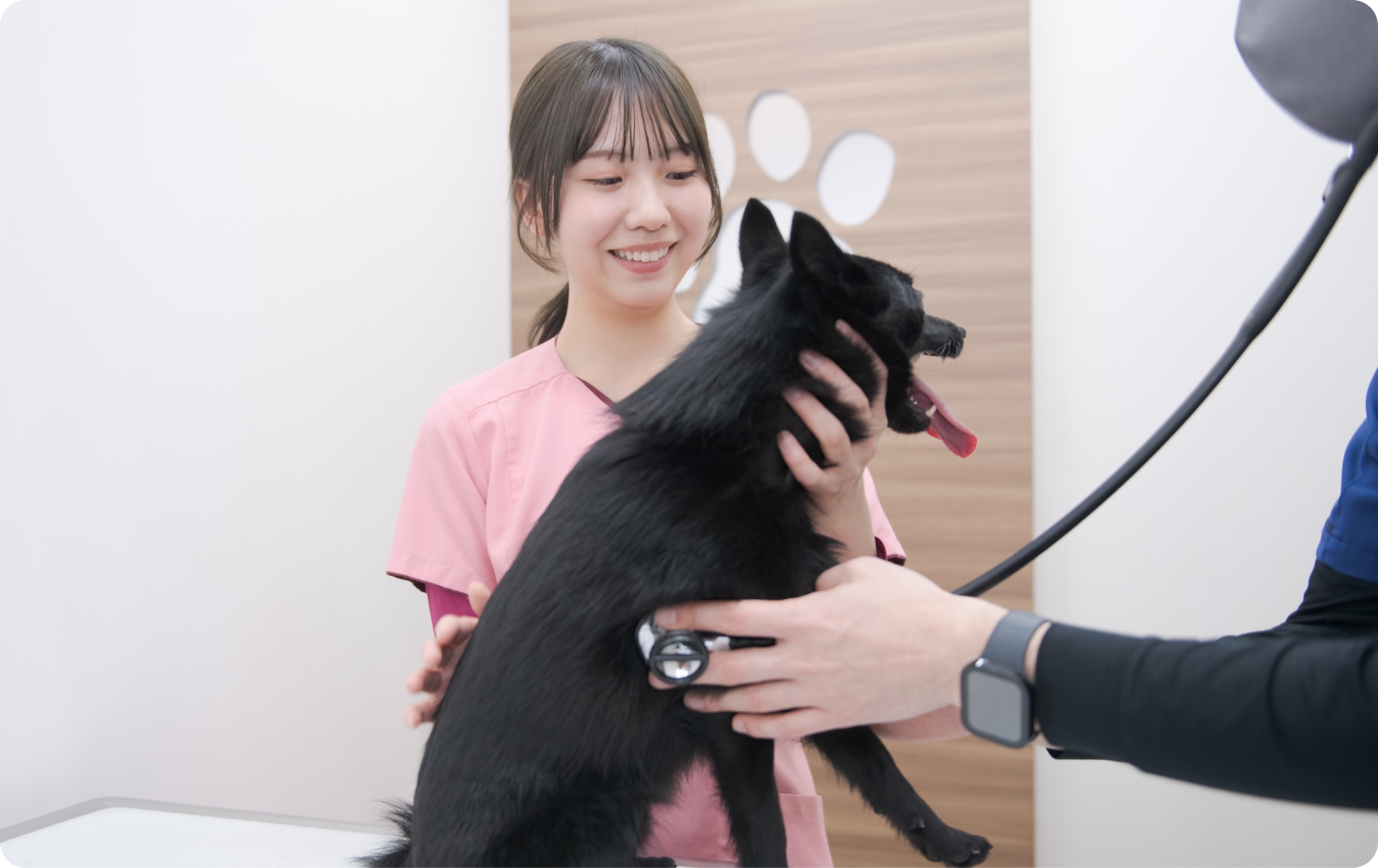 愛玩動物看護師