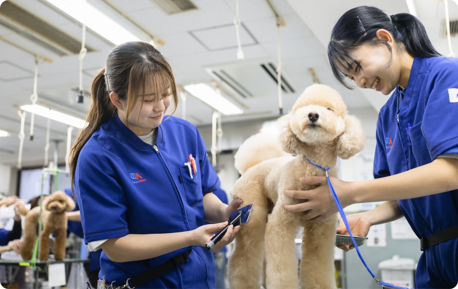 体験入学・学校見学