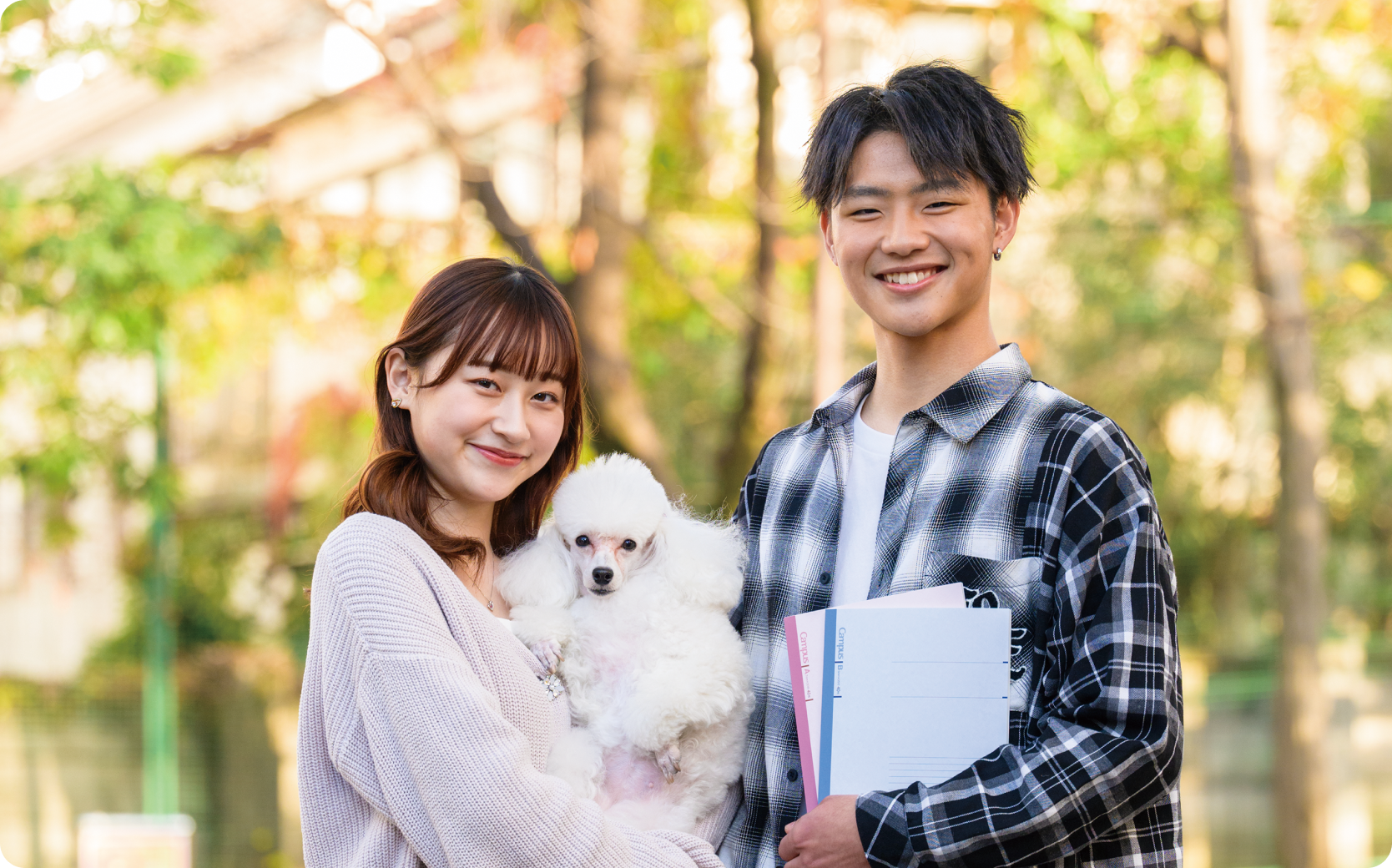 入学案内