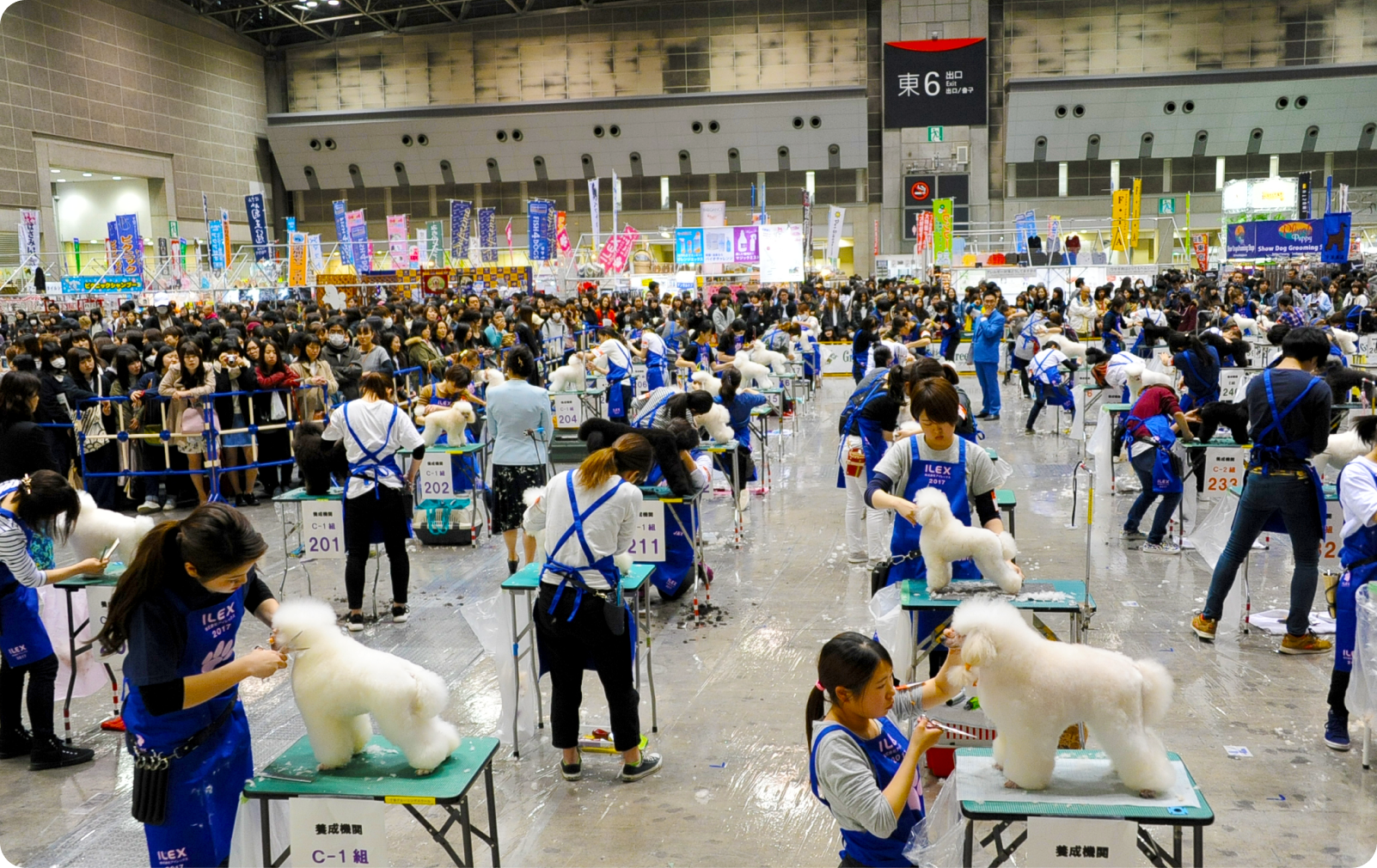 年間行事スケジュール