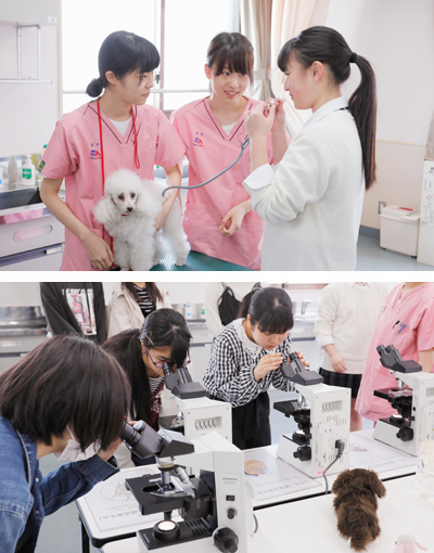 体験入学