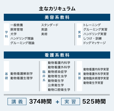 主なカリキュラム