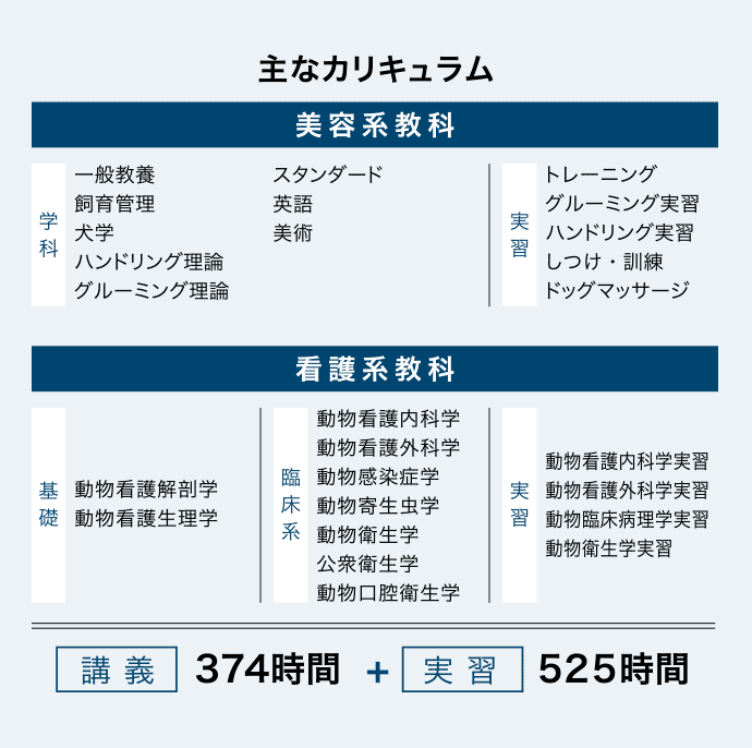 動物看護師を育てる 動物看護学科 東京愛犬専門学校