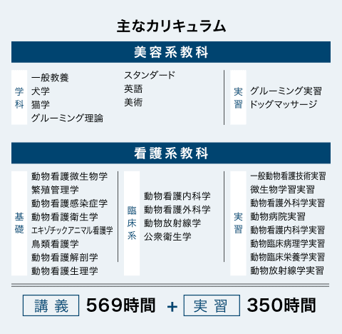 主なカリキュラム
