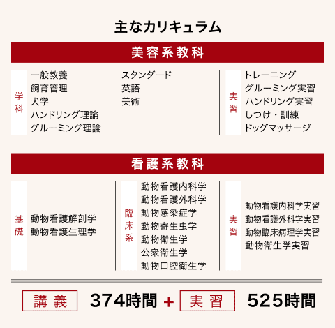 主なカリキュラム