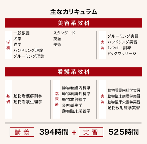 主なカリキュラム