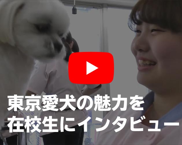 動物のスペシャリストを目指すなら東京愛犬専門学校