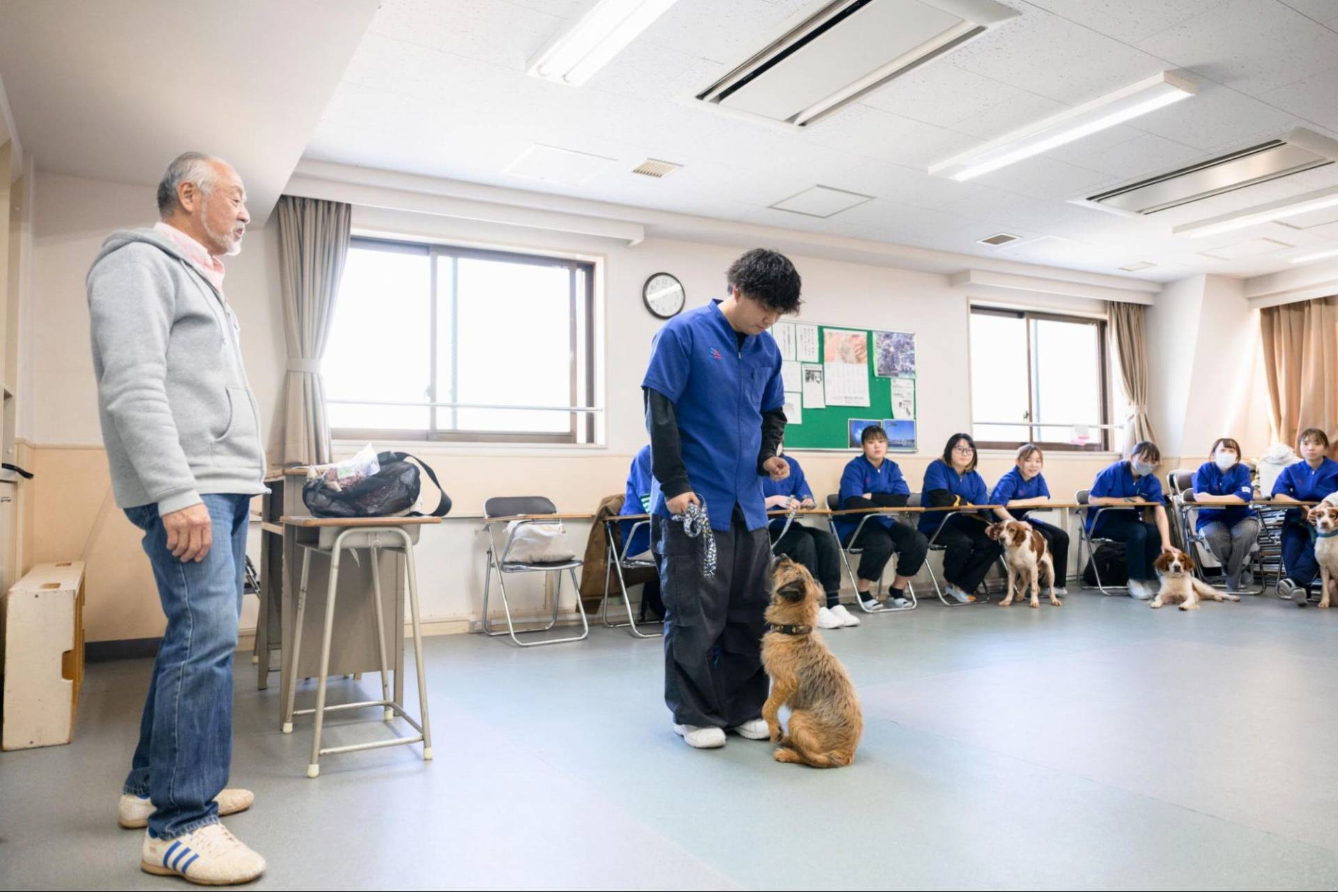 ドッグトレーナーの資格を取得できる専門学校